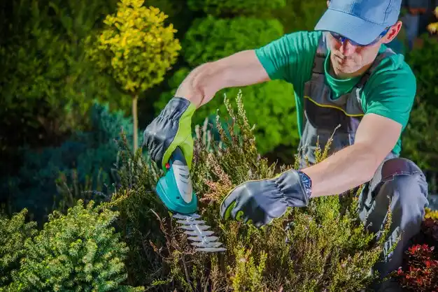 landscaping services Day Heights